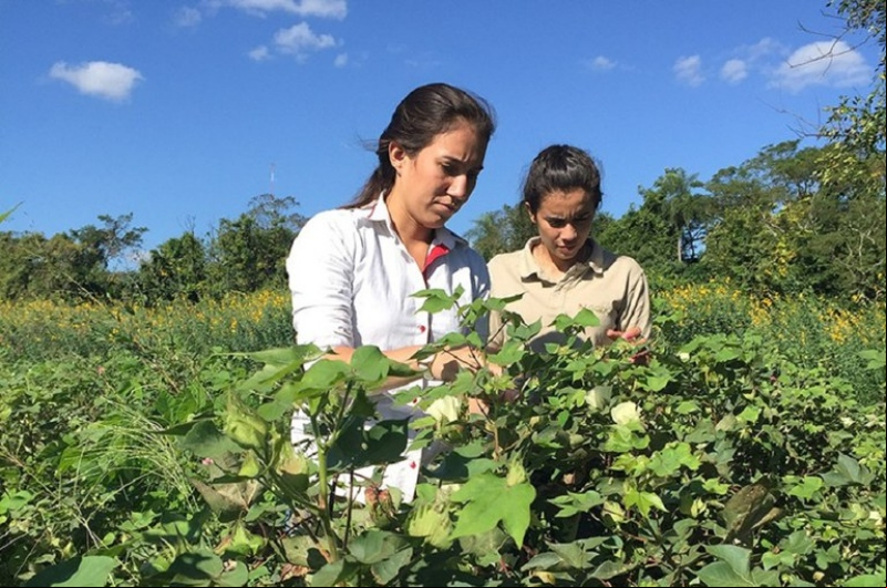 Foto: Divulgação/Ministério do Desenvolvimento Agrário e Agricultura Familiar (MDA)
